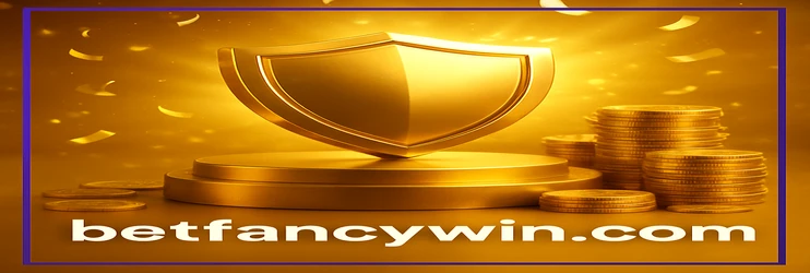 fancywin VIP প্রোগ্রাম